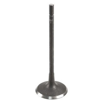 Osvat® - Intake Valve