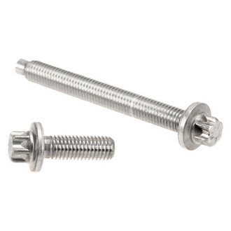 Rein® - Starter Bolt