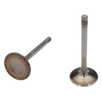 TRW® - Intake Intake Valve