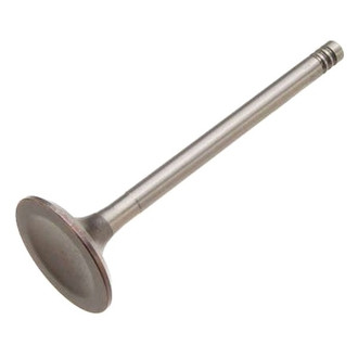 TRW® - Intake Valve