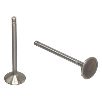 TRW® - Intake Valve
