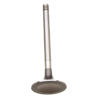 TRW® - Intake Valve