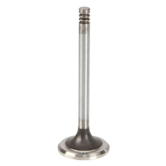 TRW® - Exhaust Valve