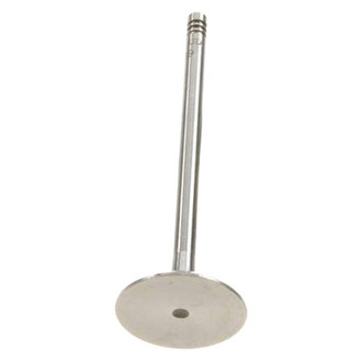 TRW® - Intake Valve