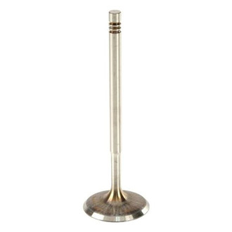 TRW® - Intake Valve