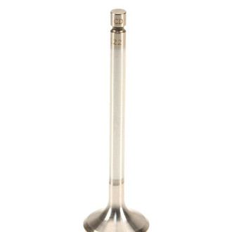 TRW® - Intake Valve