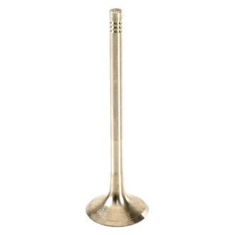 TRW® - Exhaust Valve