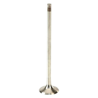 TRW® - Exhaust Valve