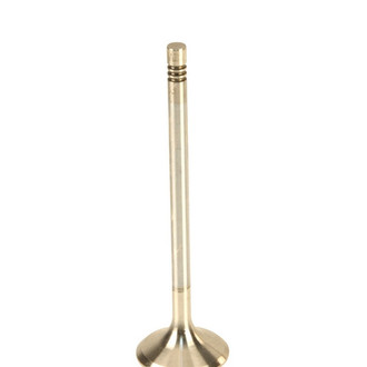 TRW® - Exhaust Valve