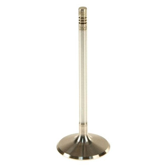 TRW® - Intake Valve