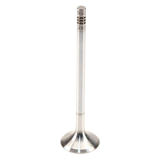 TRW® - Exhaust Valve
