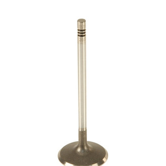 TRW® - Intake Valve