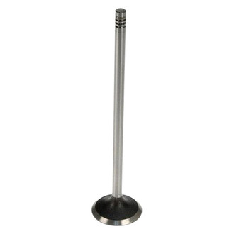 TRW® - Intake Valve