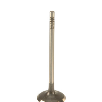 TRW® - Intake Valve