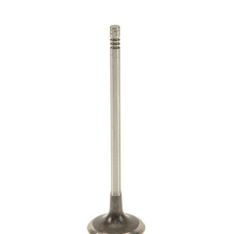 TRW® - Intake Valve