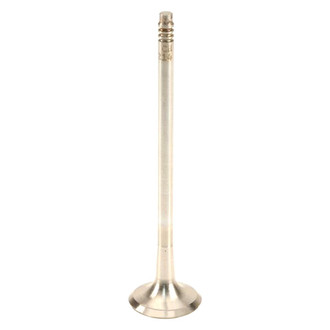 TRW® - Exhaust Valve
