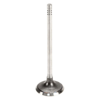 TRW® - Intake Valve