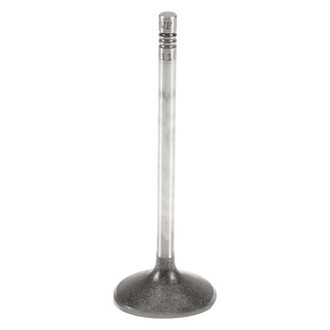 TRW® - Intake Valve
