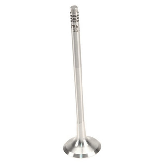 TRW® - Exhaust Valve
