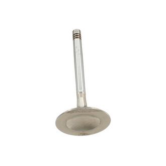 TRW® - Intake Valve
