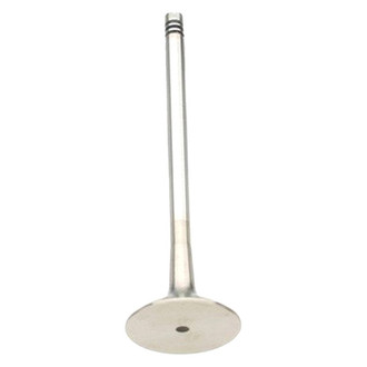 TRW® - Exhaust Valve