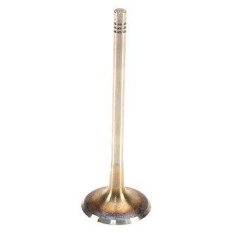 TRW® - Intake Valve