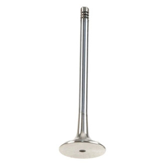 TRW® - Exhaust Valve