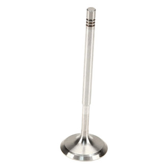 TRW® - Intake Valve