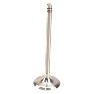 TRW® - Intake Valve
