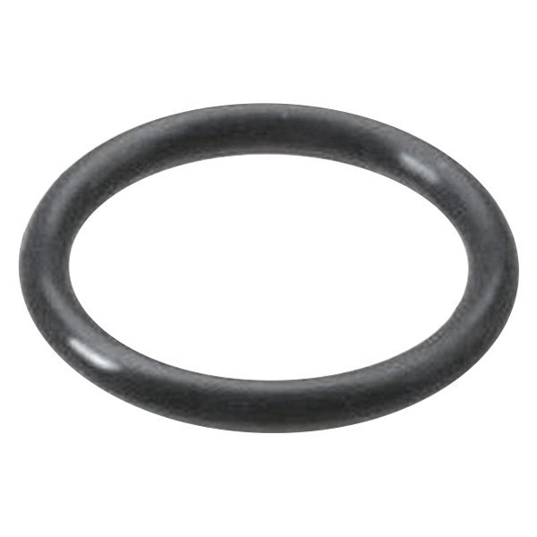 Victor Reinz® W01331904725REI Speedometer Cable Seal