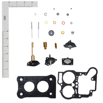 WVE® - Carburetor Repair Kit