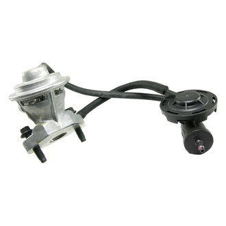 WVE® - EGR Valve
