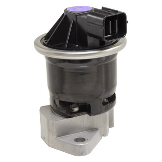 WVE® - EGR Valve