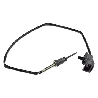 WVE® - EGR Valve Temperature Sensor