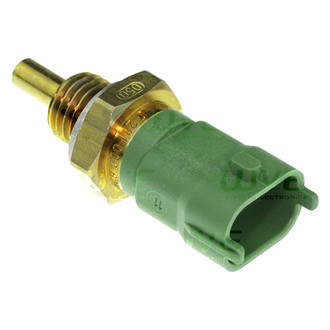 WVE® - Fuel Temperature Sensor