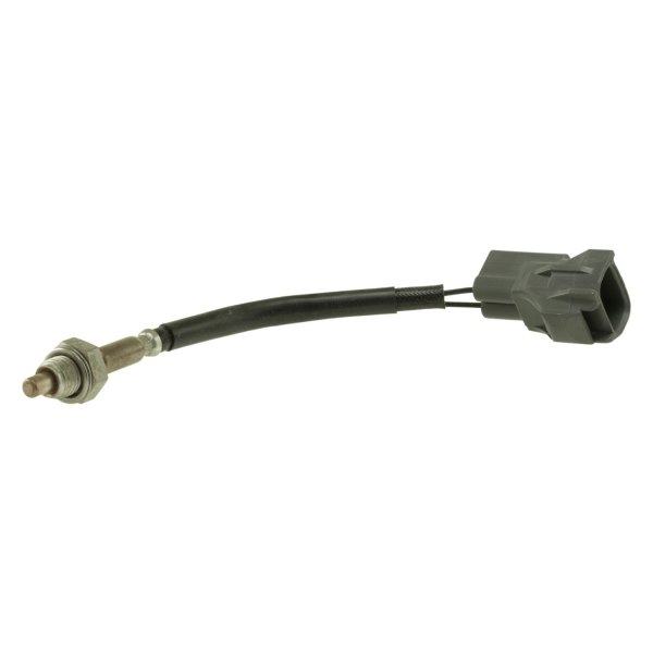 WVE® - EGR Valve Temperature Sensor